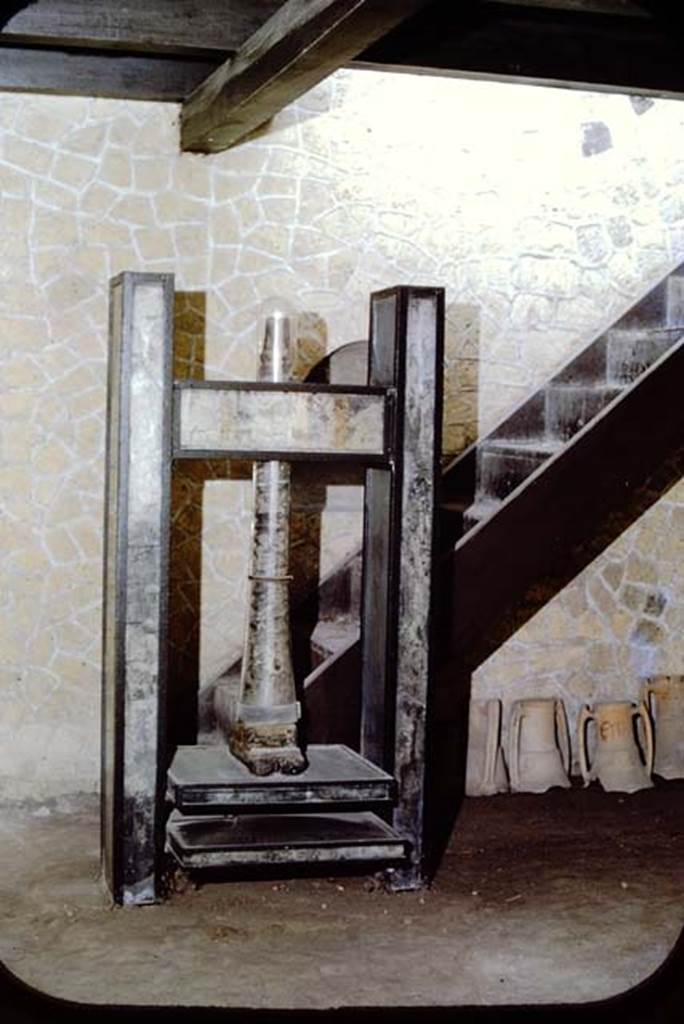 III.10 Herculaneum, 1961. Wooden screw press (torcular or pressorium). The staircase would have led to the upper floor small dwelling, consisting of two rooms.
Photo by Stanley A. Jashemski.
Source: The Wilhelmina and Stanley A. Jashemski archive in the University of Maryland Library, Special Collections (See collection page) and made available under the Creative Commons Attribution-Non Commercial License v.4. See Licence and use details. J61f0606